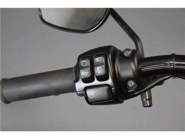 2017 HARLEY-DAVIDSON SPORTSTER XL1200X FORTY-EIGHT