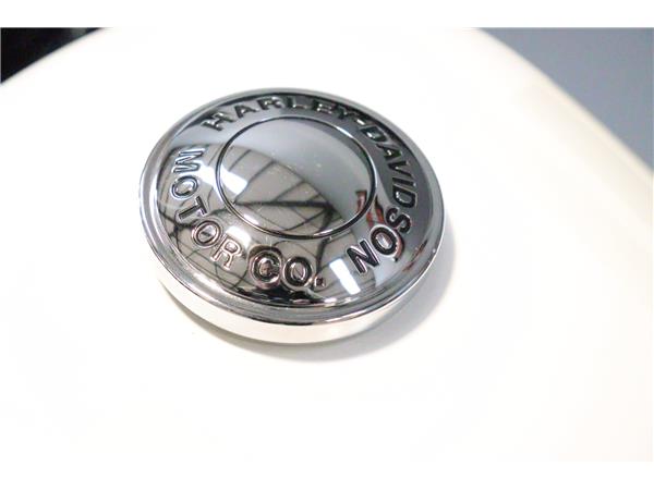 2017 HARLEY-DAVIDSON SPORTSTER XL1200X FORTY-EIGHT