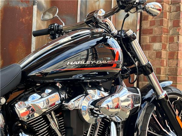 2023 Harley-Davidson Softail