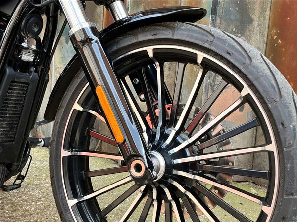 2023 Harley-Davidson Softail