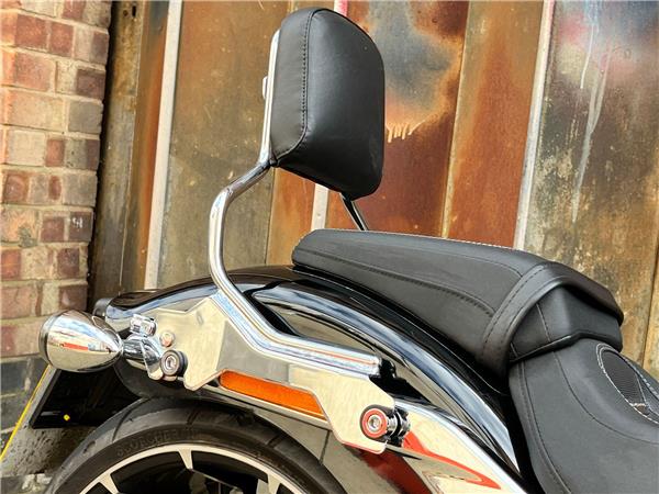 2023 Harley-Davidson Softail