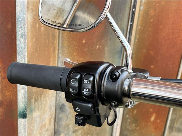 2023 Harley-Davidson Softail