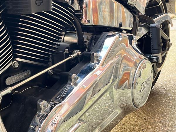 2023 Harley-Davidson Softail