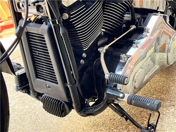 2023 Harley-Davidson Softail