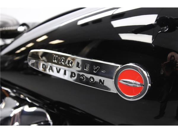 2019 Harley-Davidson Custom 2019 Harley-Davidson FXBB Softail Street Bob - Hydra Glide Build