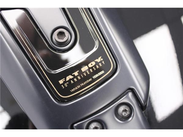 2020 Harley-Davidson Fat Boy 114