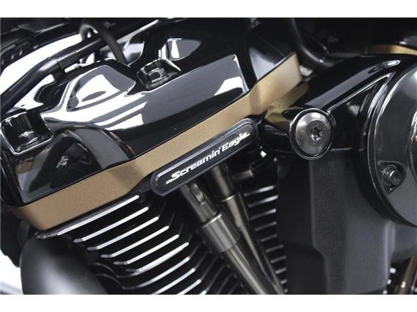 2020 Harley-Davidson Fat Boy 114