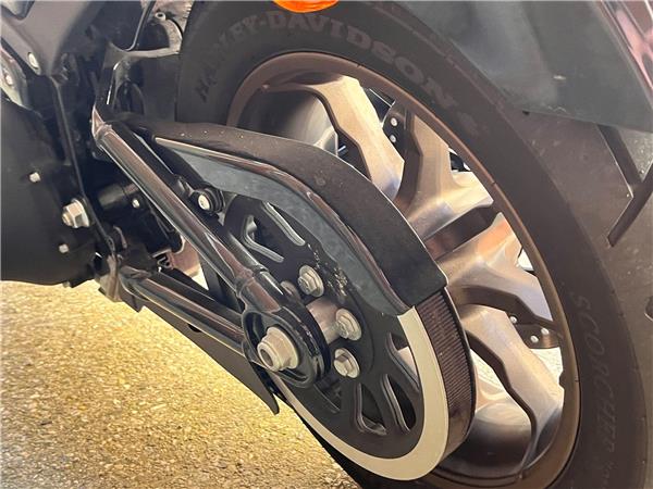 2021 Harley-Davidson Softail