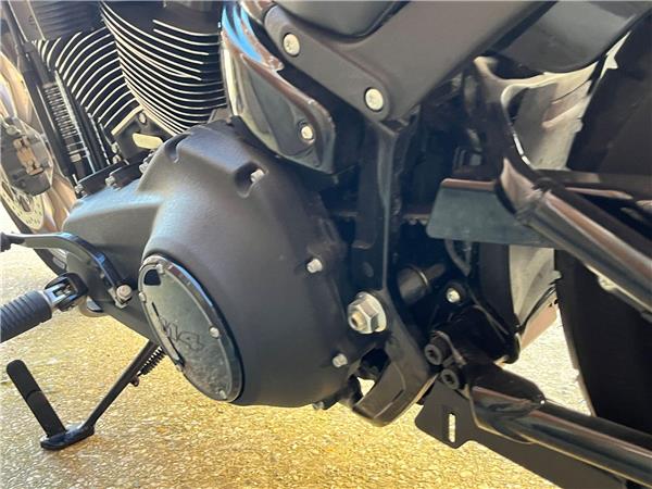 2021 Harley-Davidson Softail