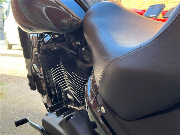 2021 Harley-Davidson Softail