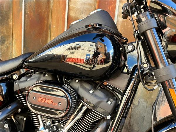 2021 Harley-Davidson Softail