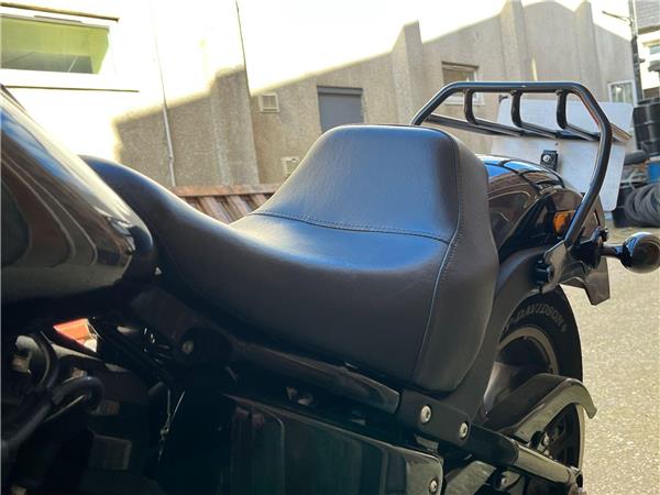 2021 Harley-Davidson Softail