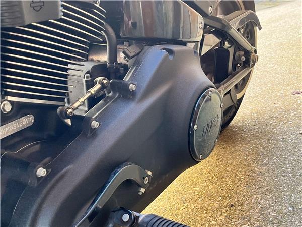 2021 Harley-Davidson Softail