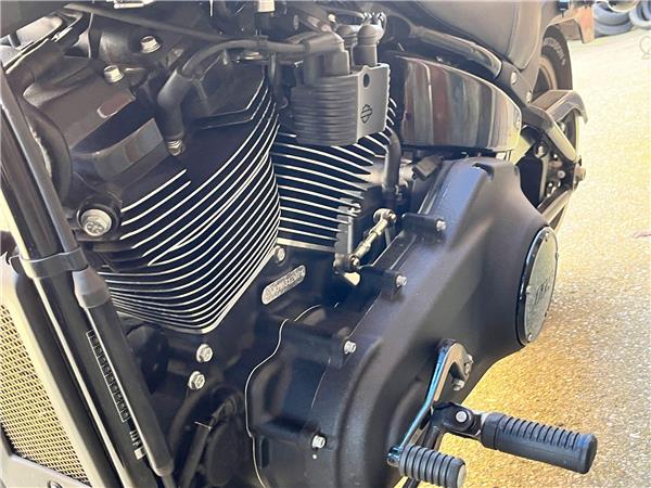 2021 Harley-Davidson Softail