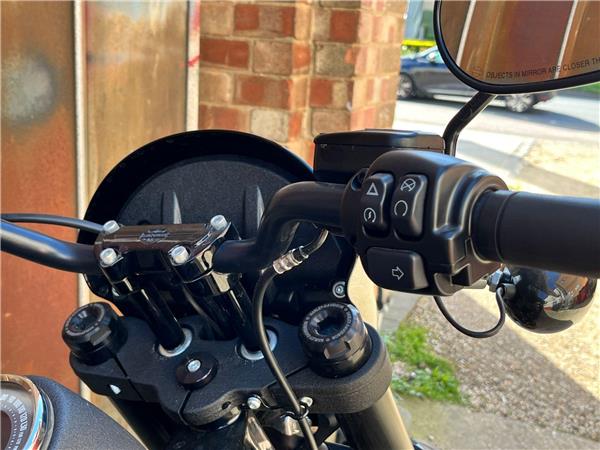 2021 Harley-Davidson Softail