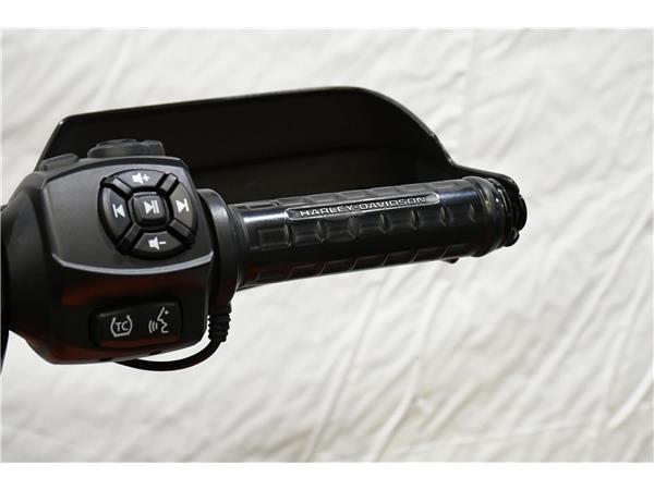 2021 Pan America 1250 Special