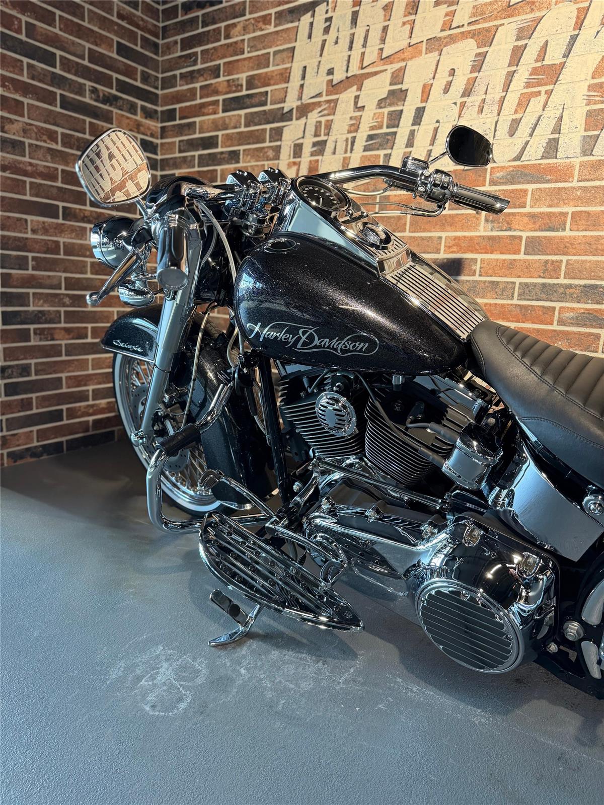 2013 harley-davidson FLSTN Softail Deluxe ABS