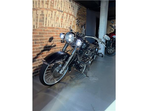 2013 harley-davidson FLSTN Softail Deluxe ABS