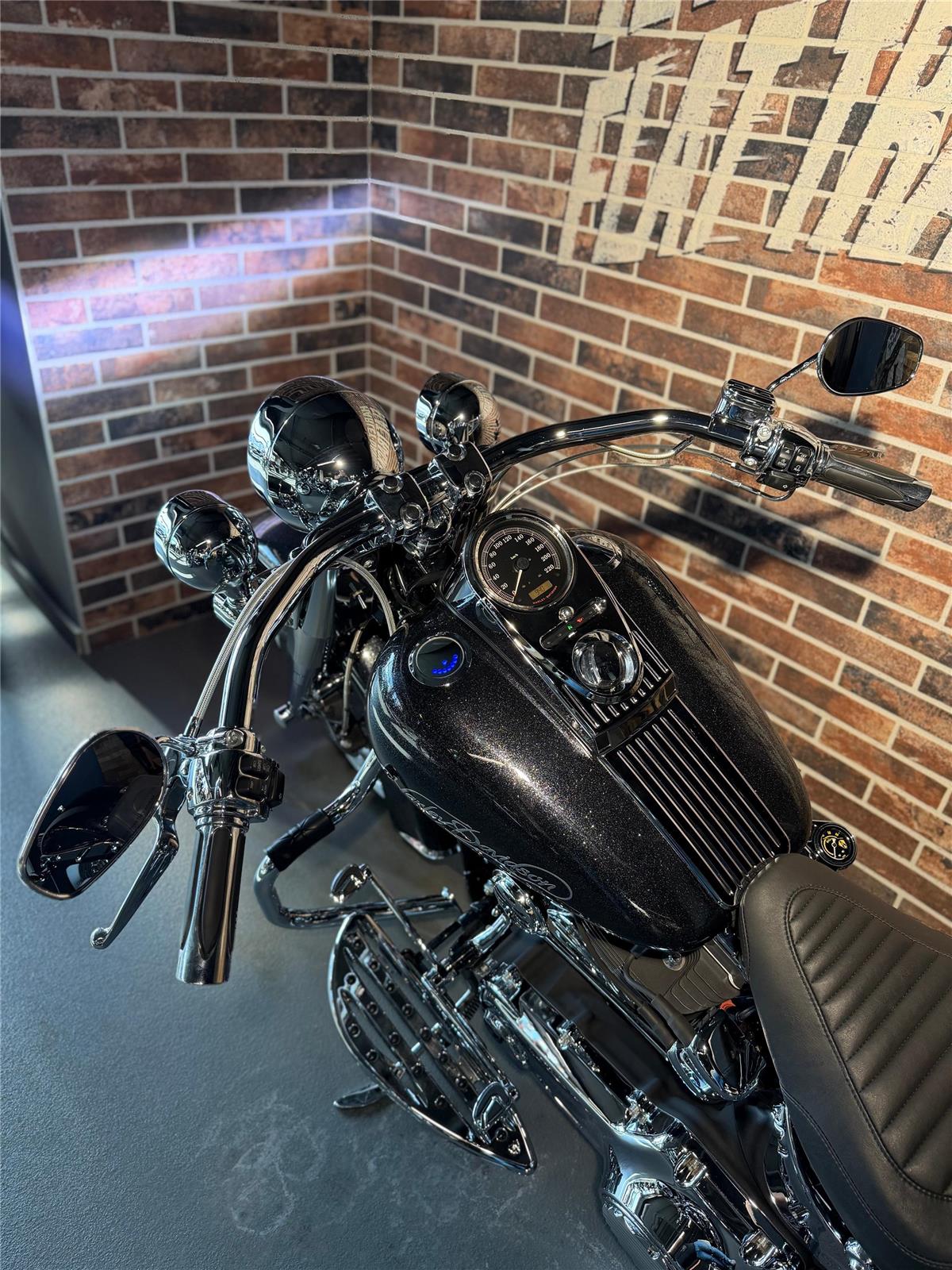 2013 harley-davidson FLSTN Softail Deluxe ABS