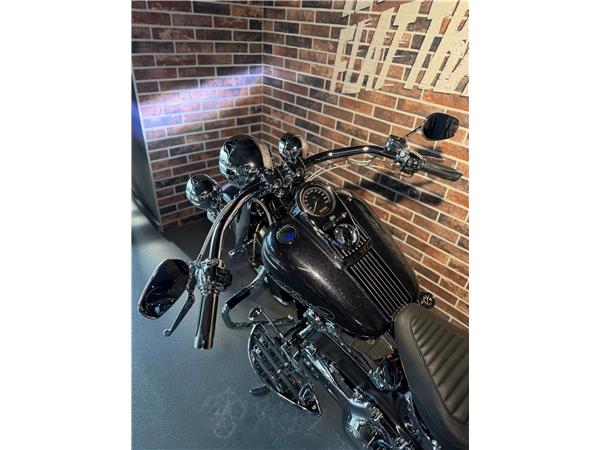2013 harley-davidson FLSTN Softail Deluxe ABS