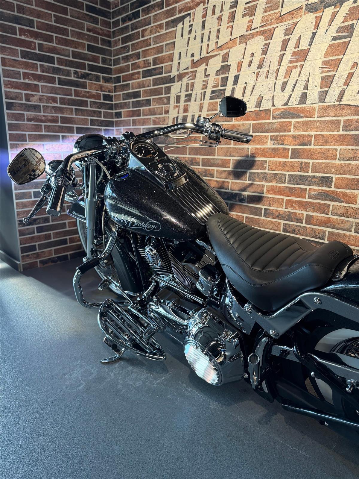 2013 harley-davidson FLSTN Softail Deluxe ABS