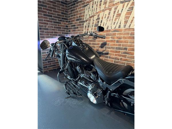 2013 harley-davidson FLSTN Softail Deluxe ABS