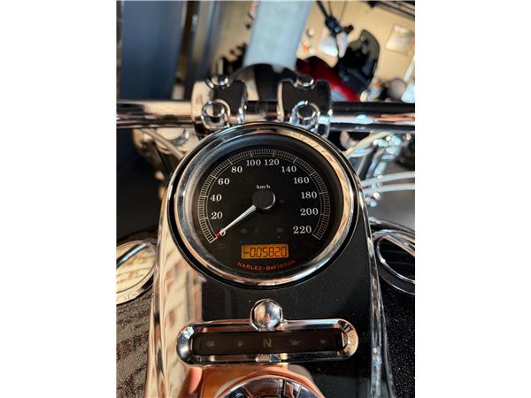 2013 harley-davidson FLSTN Softail Deluxe ABS