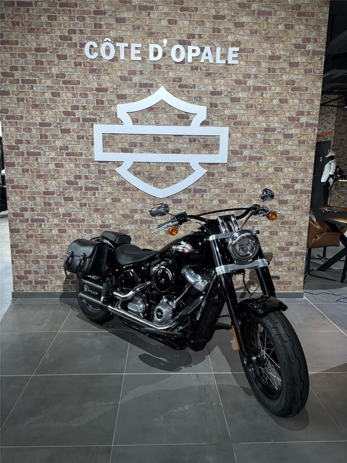 2019 HARLEY-DAVIDSON SLIM