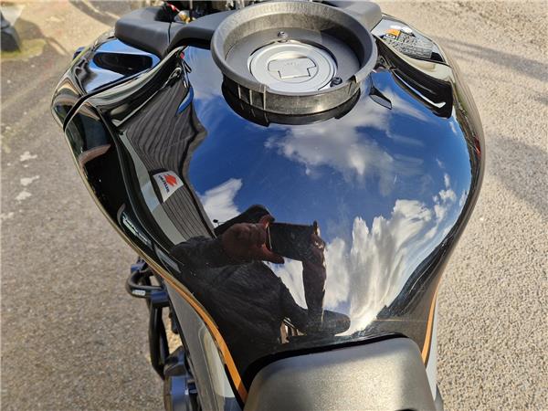 2024 YAMAHA TRACER 9 GT