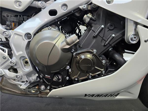2024 YAMAHA XSR900 GP