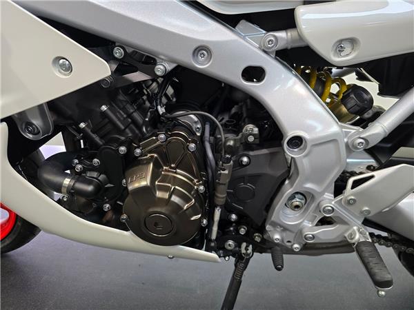 2024 YAMAHA XSR900 GP