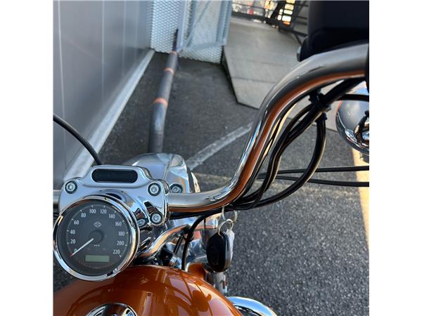 2014 Sportster 1200 Custom with H-D1 factory customization