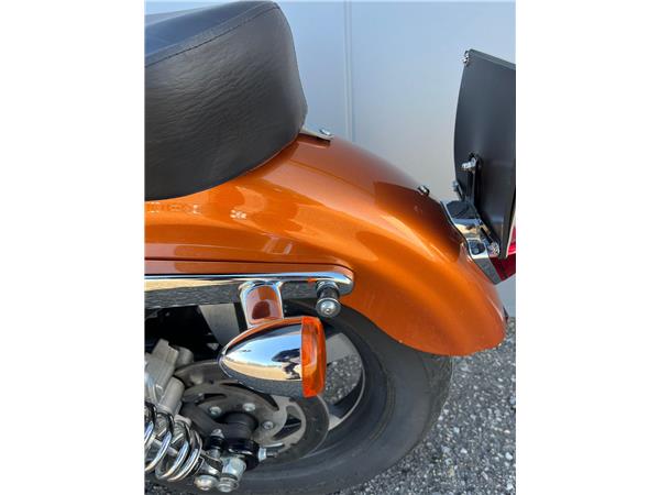 2014 Sportster 1200 Custom with H-D1 factory customization