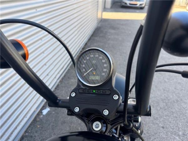 2015 Harley-Davidson Sportster XL 883 N Iron