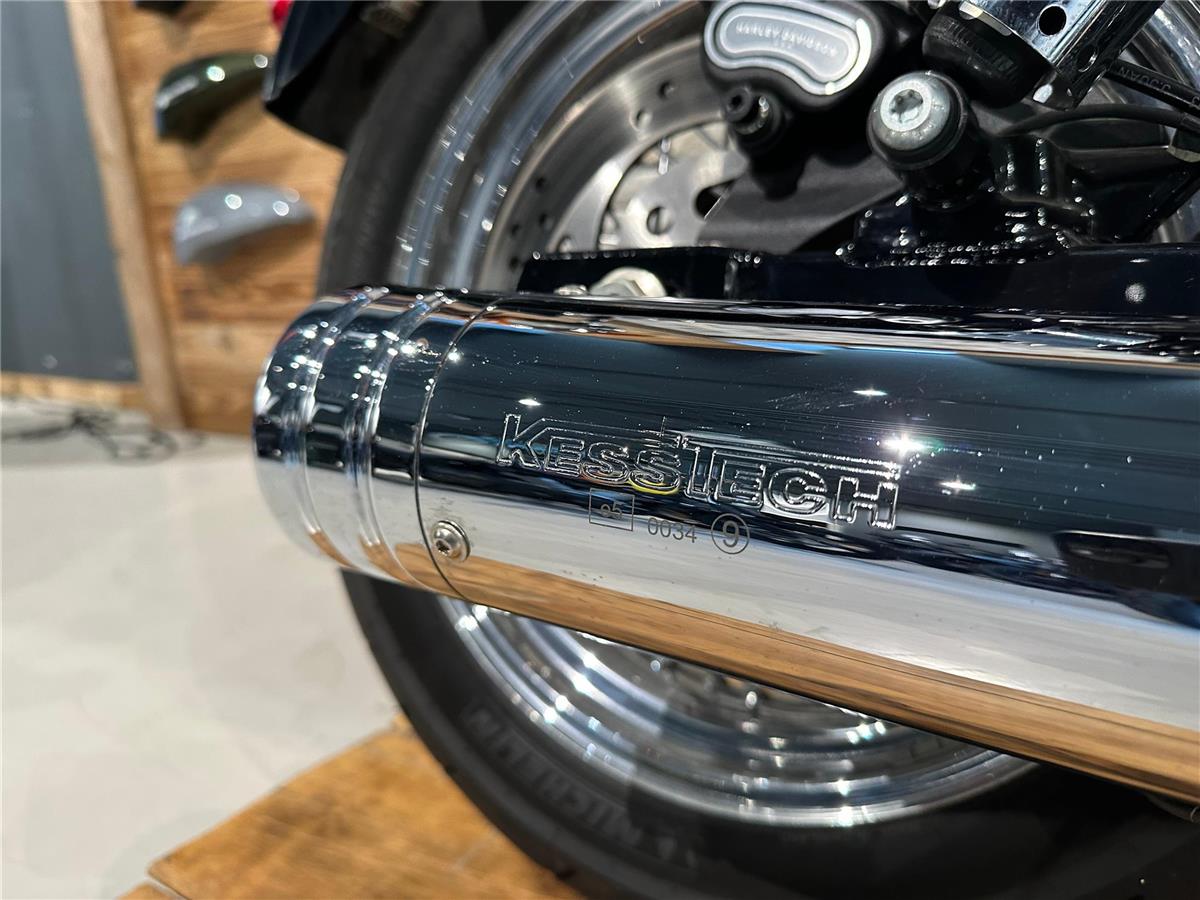 2014 harley-davidson FXDL Dyna Low Rider ABS