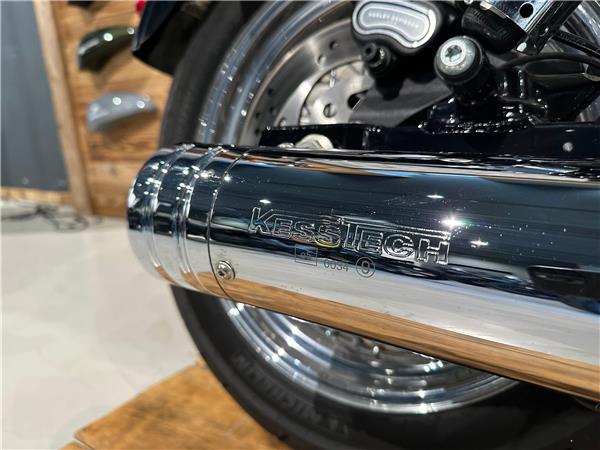 2014 harley-davidson FXDL Dyna Low Rider ABS