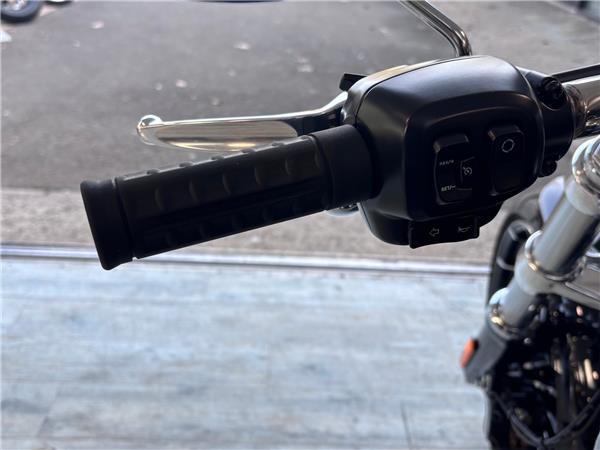 2025 HARLEY-DAVIDSON BREAKOUT 117 