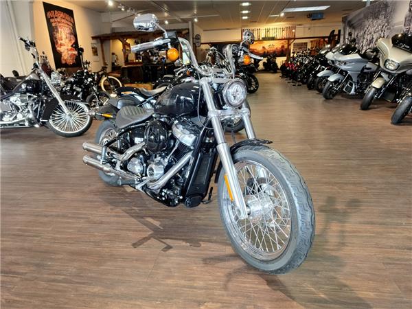 Softail Standard 