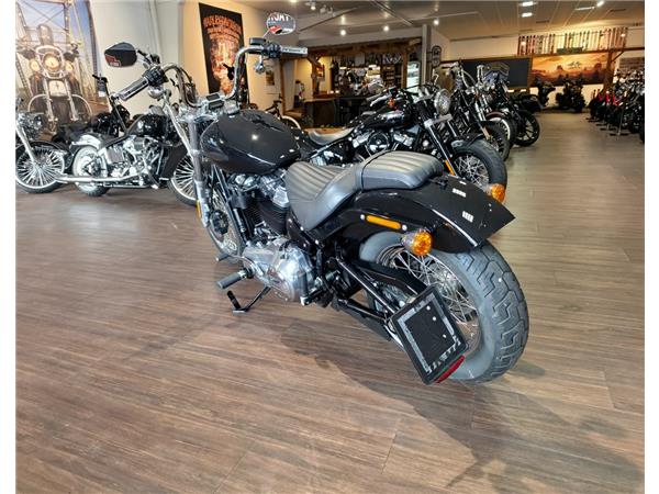Softail Standard 