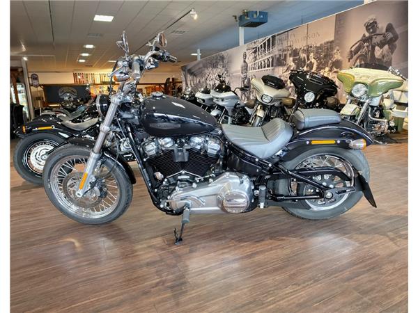 Softail Standard 