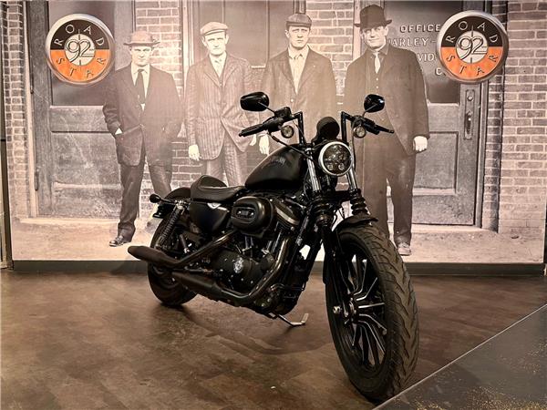 2014 HARLEY-DAVIDSON IRON