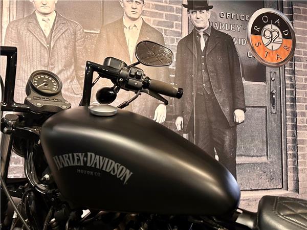 2014 HARLEY-DAVIDSON IRON