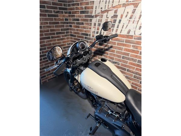 2024 harley-davidson FXLRS Low Rider S 117