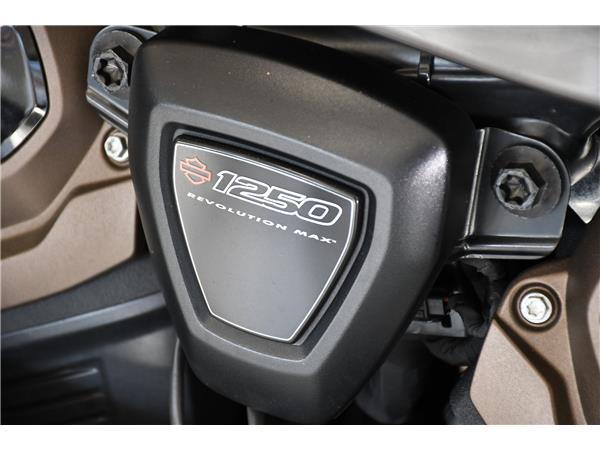 2024 HARLEY-DAVIDSON SPORTSTER S