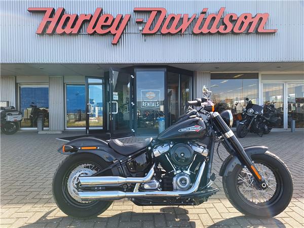 2019 Harley-Davidson FLSL Slim