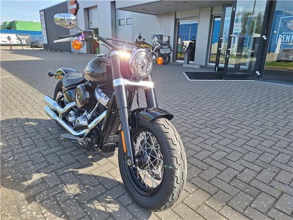 2019 Harley-Davidson FLSL Slim