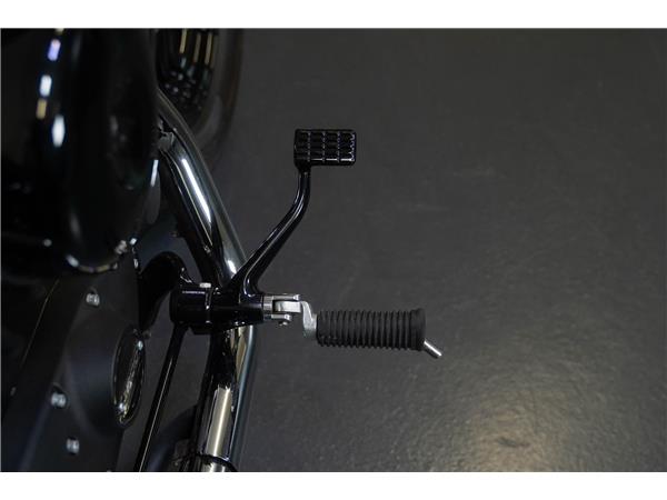 2015 harley-davidson XL 1200 X Forty Eight