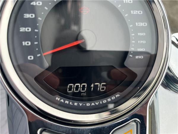 2025 HARLEY-DAVIDSON SOFTAIL FLSTF FAT BOY