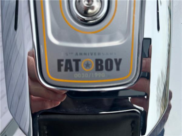 2025 HARLEY-DAVIDSON SOFTAIL FLSTF FAT BOY