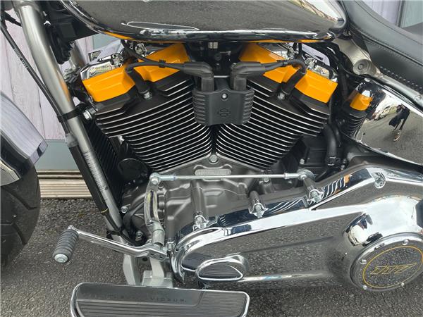 2025 HARLEY-DAVIDSON SOFTAIL FLSTF FAT BOY